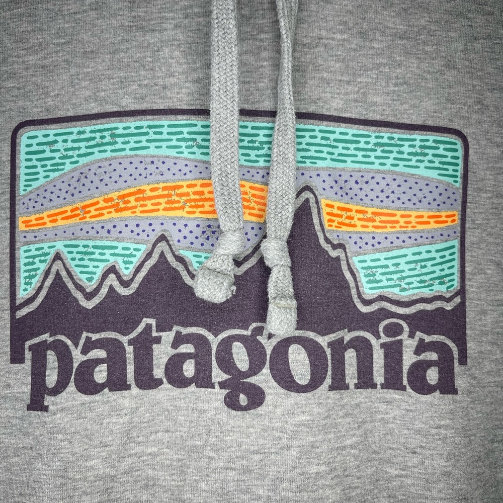 Patagonia Light Gray Men's Hoodie with Logo - Picture 2 of 6